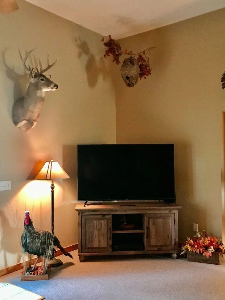 A living room with a tv and some decorations